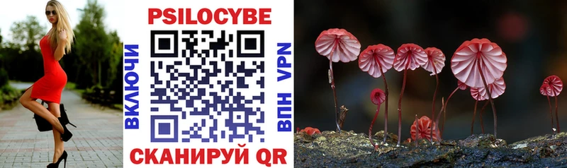 кракен ONION  купить наркоту  Ладушкин  Псилоцибиновые грибы Magic Shrooms 